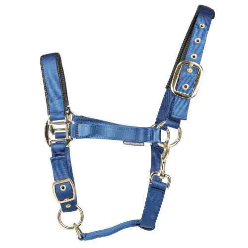 Hy Equestrian Grand Prix Head Collar Navy