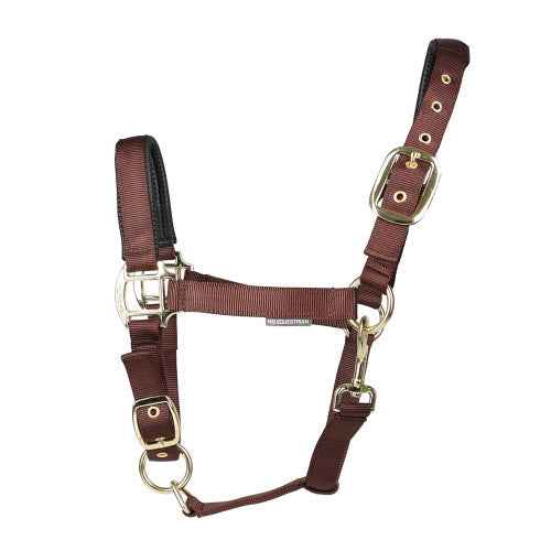 Hy Equestrian Grand Prix Head Collar Dark Brown