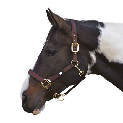 Hy Equestrian Grand Prix Head Collar Dark Brown