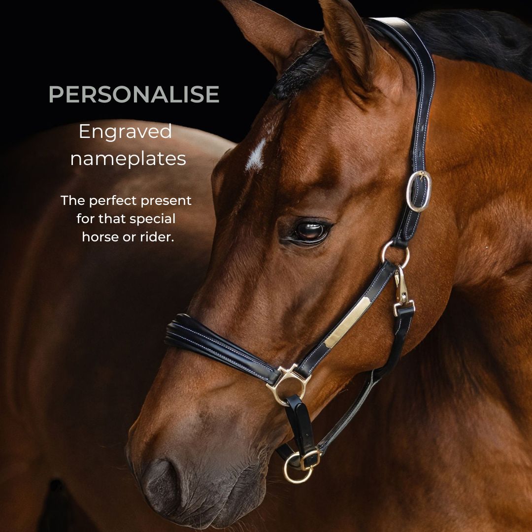 Lumiere Equestrian Bella Leather Headcollar