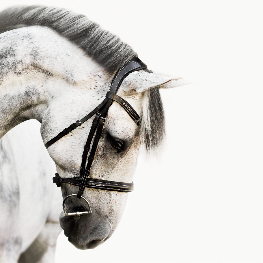 Lumiere Equestrian Milan Snaffle Bridle With Removeable Flash