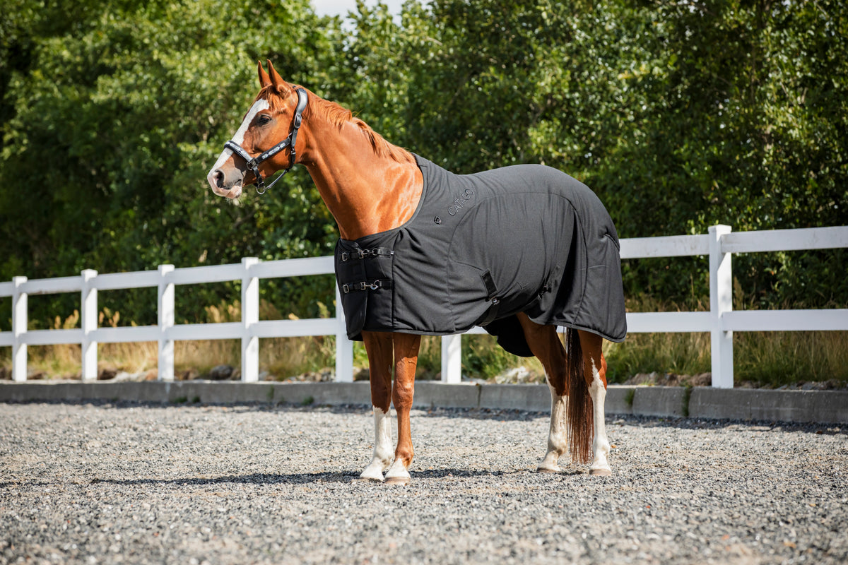 Catago FIR-Tech Rug - Black