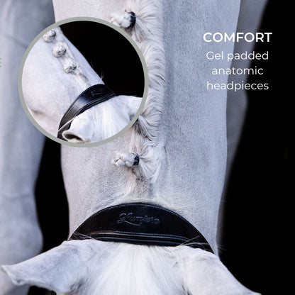 Lumiere Equestrian Bella Leather Headcollar