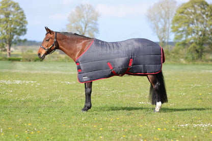 HyCONIC 250g Stable Rug - N P Equestrian & Pet Supplies Ltd 