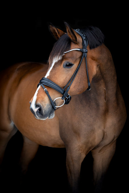 Catago Midlan Bridle - Black