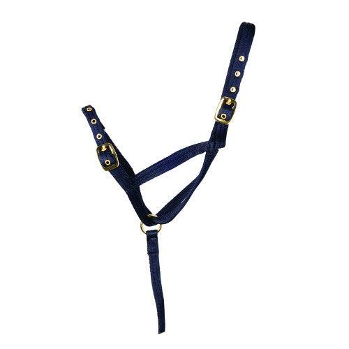 Hy Equestrian Foal Slip Halter Navy - N P Equestrian & Pet Supplies Ltd 