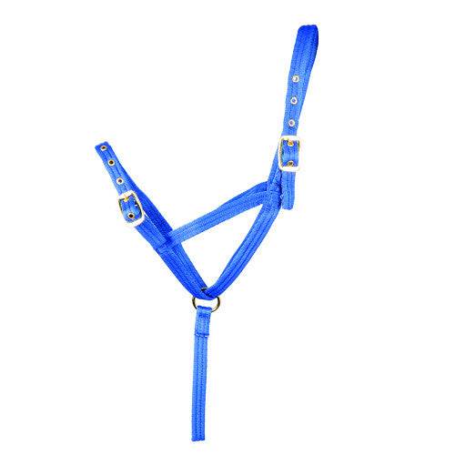 Hy Equestrian Foal Slip Halter Blue - N P Equestrian & Pet Supplies Ltd 