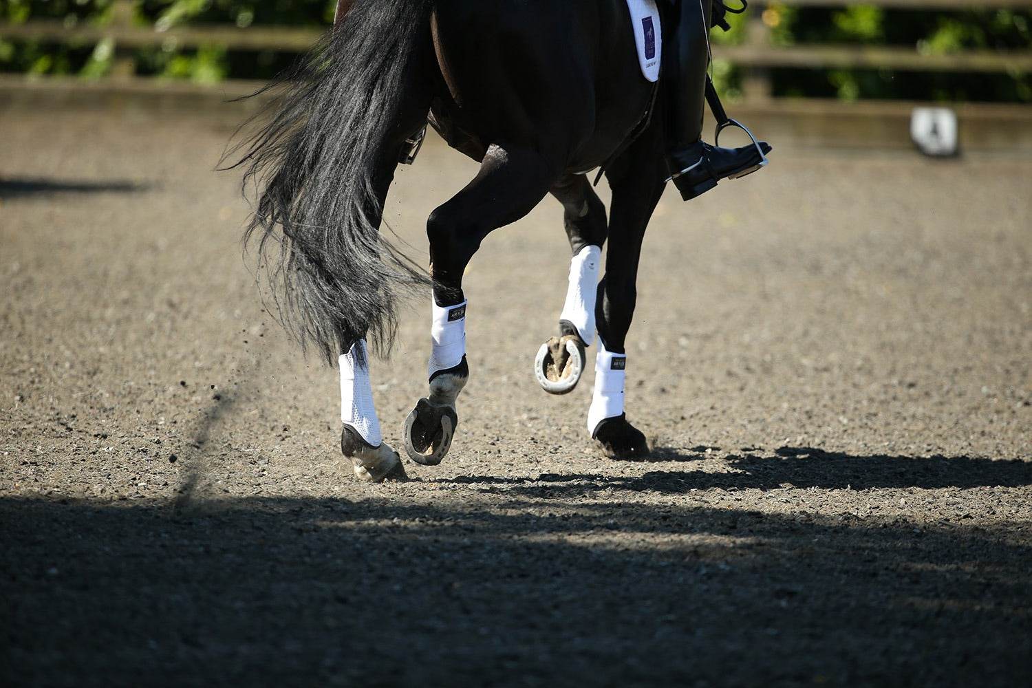 KM Elite Pro Mesh Hybrid Brushing Boots - N P Equestrian & Pet Supplies Ltd 