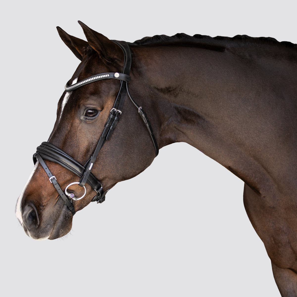 Lumiere Equestrian Melodie Anatomical Snaffle Bridle