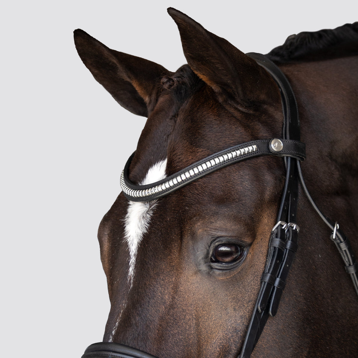 Lumiere Equestrian Melodie Anatomical Snaffle Bridle