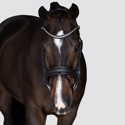 Lumiere Equestrian Melodie Anatomical Snaffle Bridle