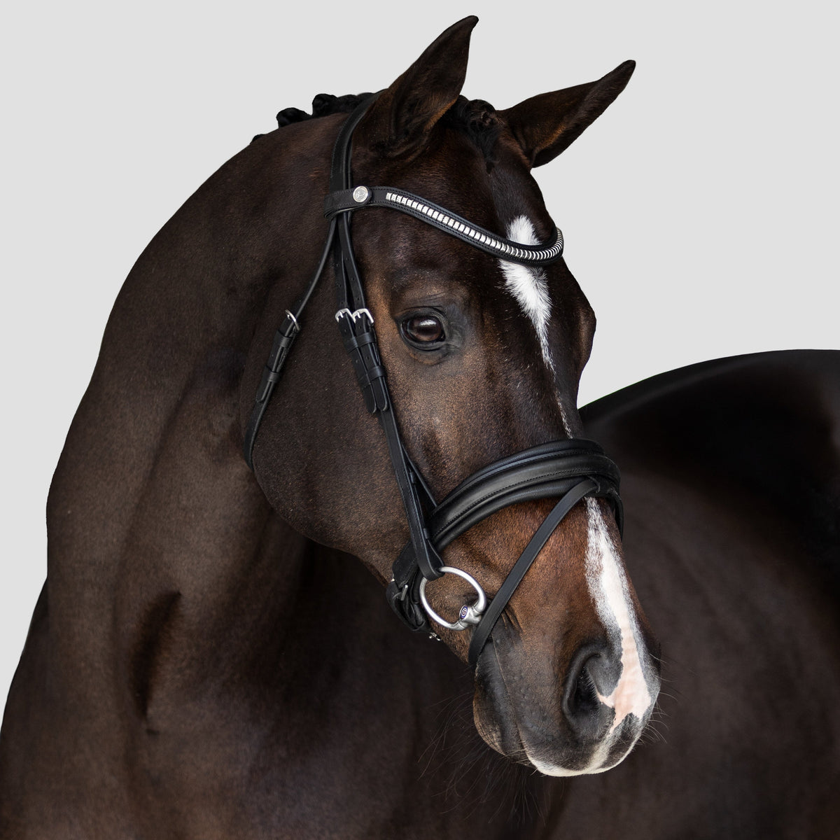 Lumiere Equestrian Melodie Anatomical Snaffle Bridle