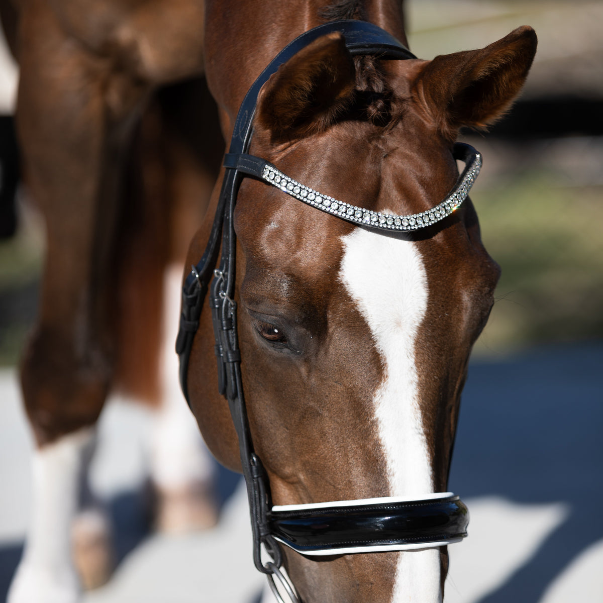 Lumiere Equestrian Adeline Snaffle Bridle With Cavesson Noseband