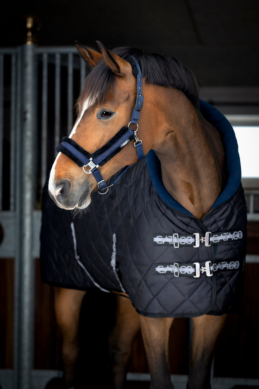 Catago Denver 300g Stable Rug - Black