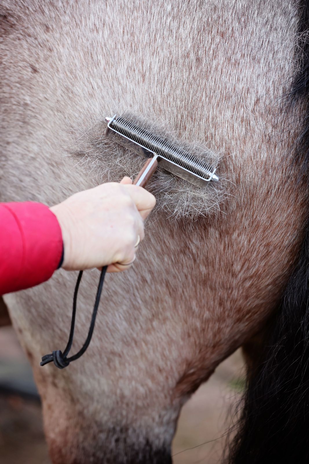 Smart Coats Thinner