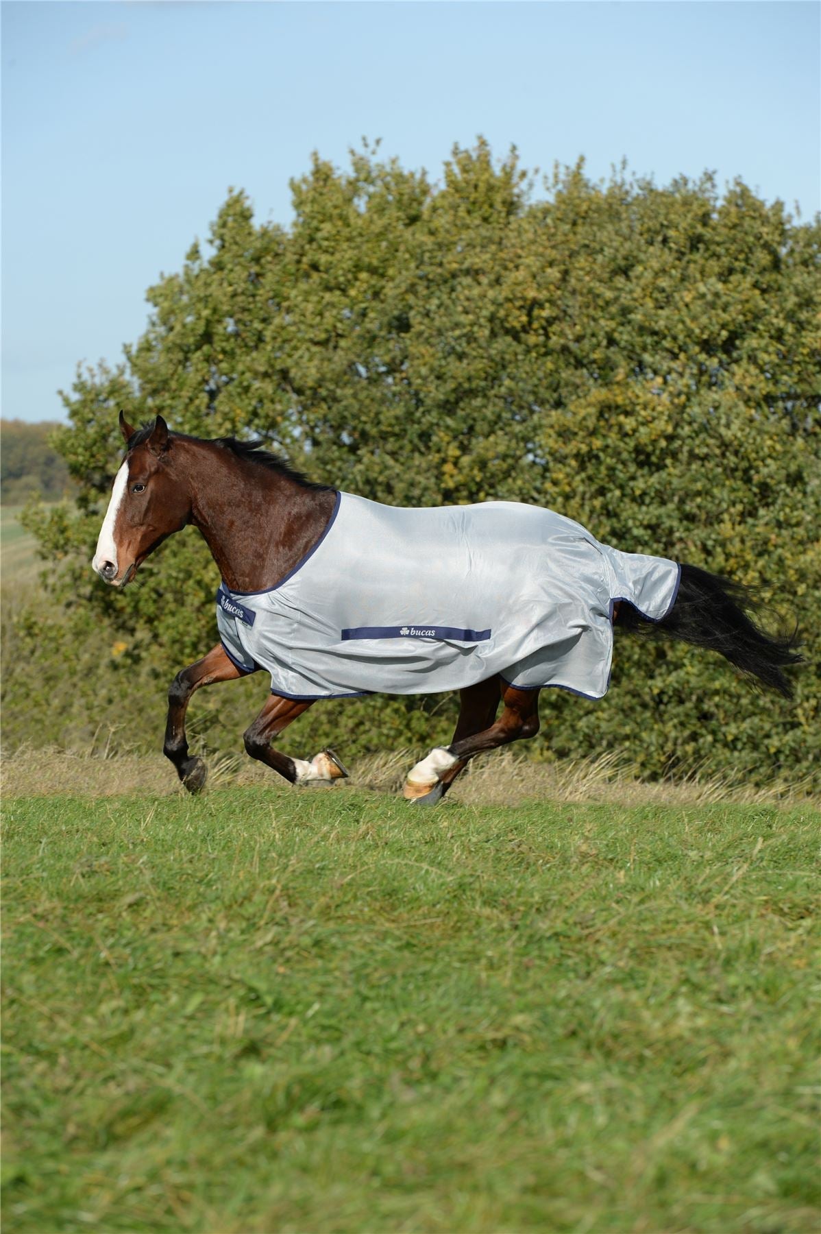 Bucas Buzz-Off Classic Cut Fly Rug - Blue/Silver