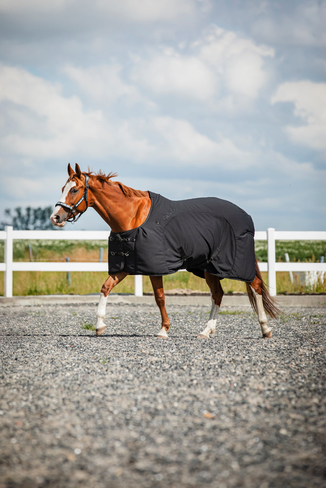 Catago FIR-Tech Rug - Black