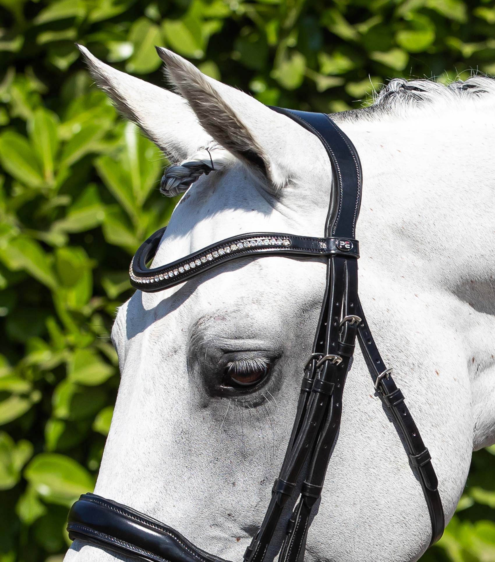 Premier Equine Abriano Anatomic Double Bridle - N P Equestrian & Pet Supplies Ltd 
