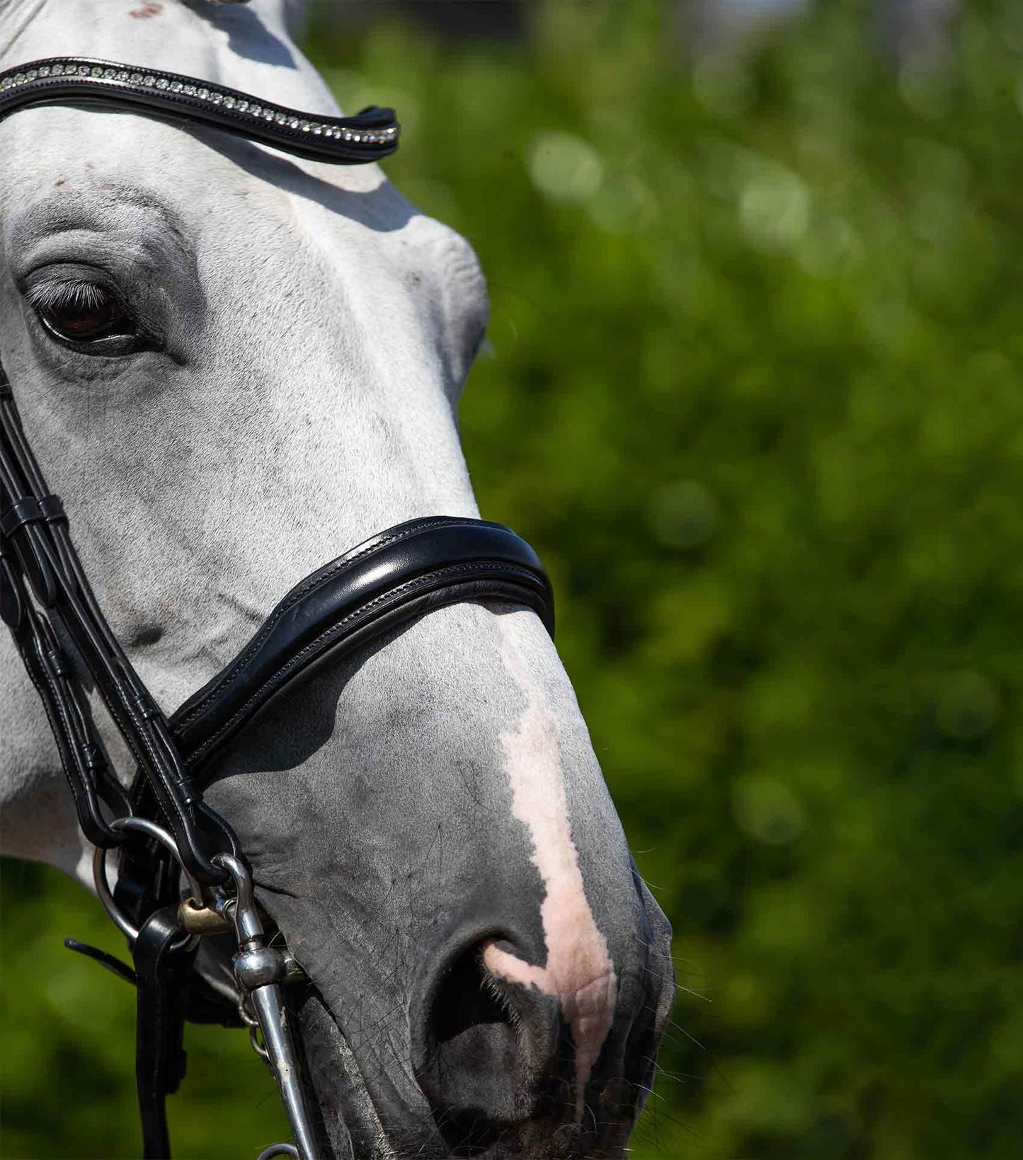 Premier Equine Abriano Anatomic Double Bridle - N P Equestrian & Pet Supplies Ltd 