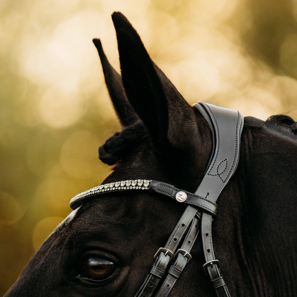 Lumiere Equestrian Adeline Snaffle Bridle With Cavesson Noseband