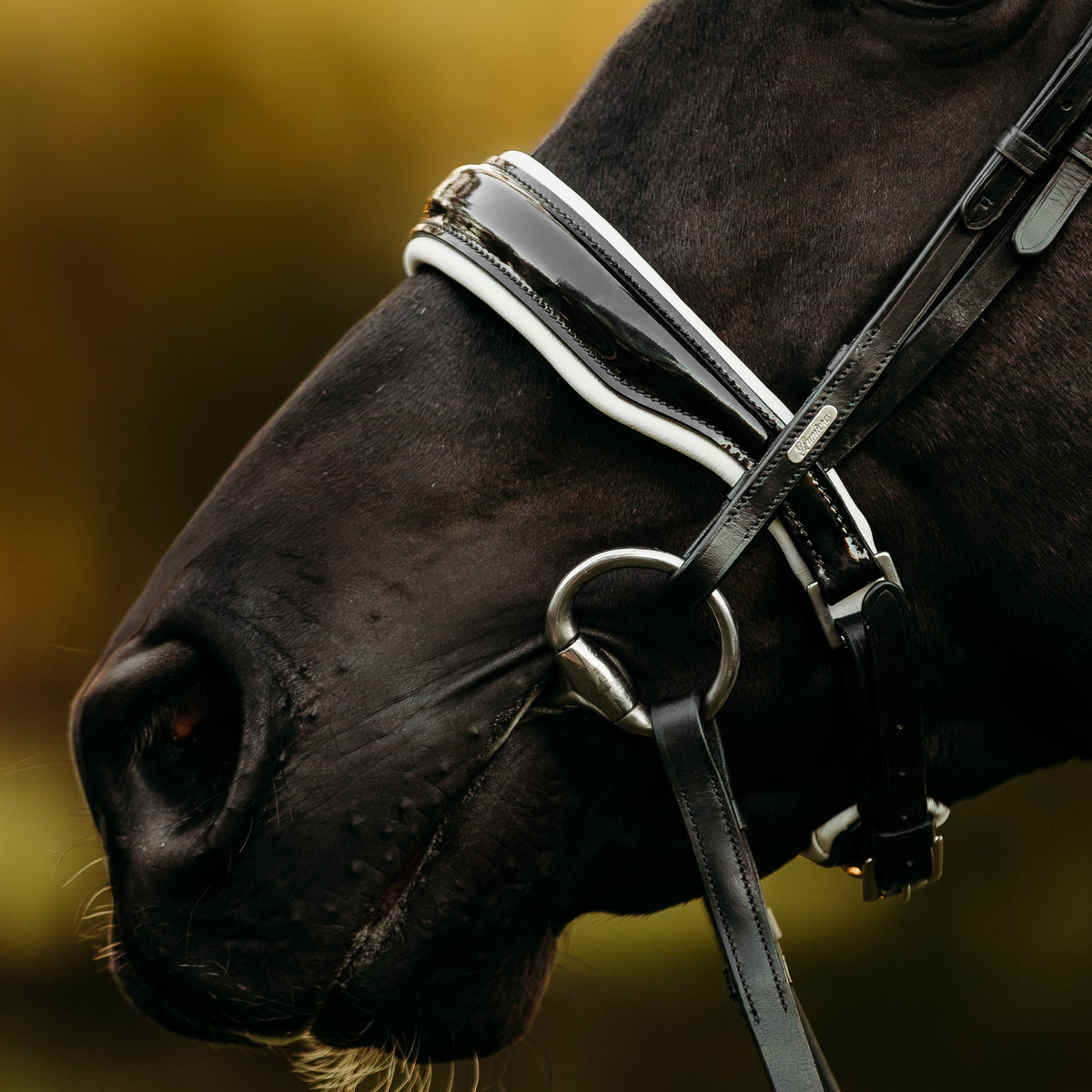 Lumiere Equestrian Adeline Snaffle Bridle With Cavesson Noseband