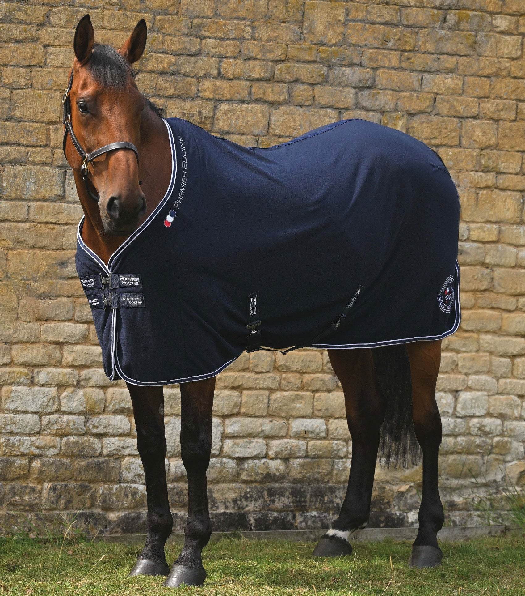 Premier Equine Airtech Horse Cooler Rug Navy - N P Equestrian & Pet Supplies Ltd 