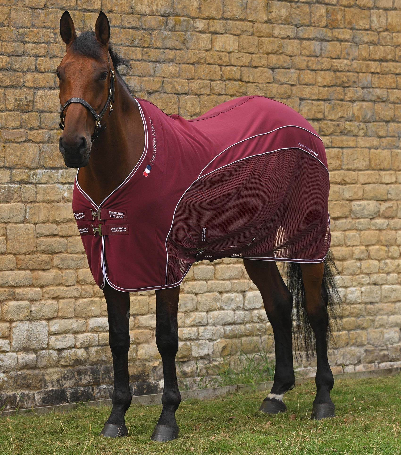 Premier Equine Airtech Mesh Horse Cooler Rug Burgundy - N P Equestrian & Pet Supplies Ltd 