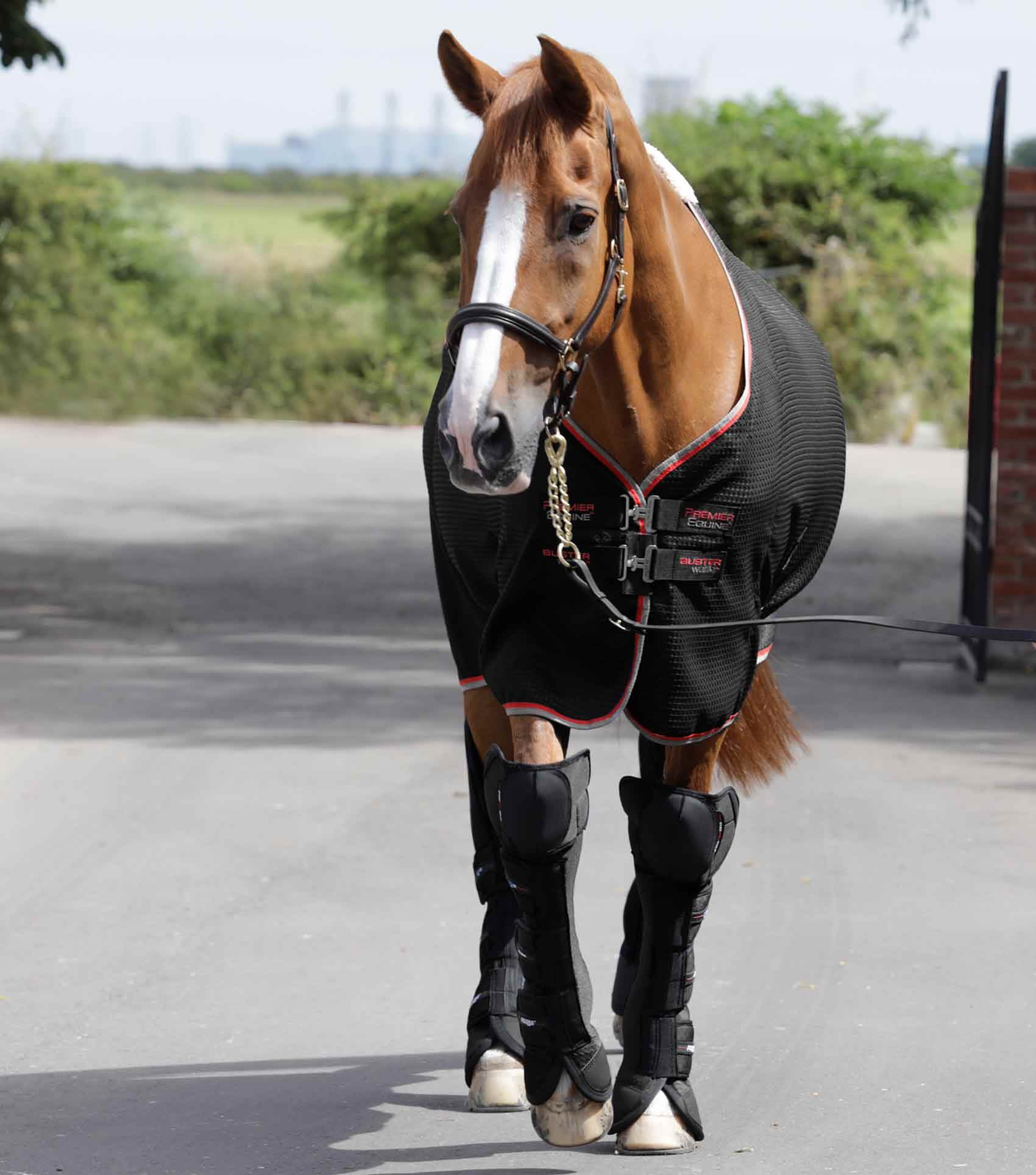 Premier Equine Air-Technology Knee Pro-Tech Horse Travel Boots - N P Equestrian & Pet Supplies Ltd 