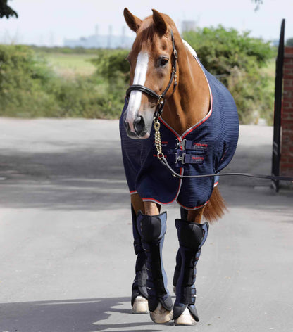 Premier Equine Air-Technology Knee Pro-Tech Horse Travel Boots - N P Equestrian & Pet Supplies Ltd 