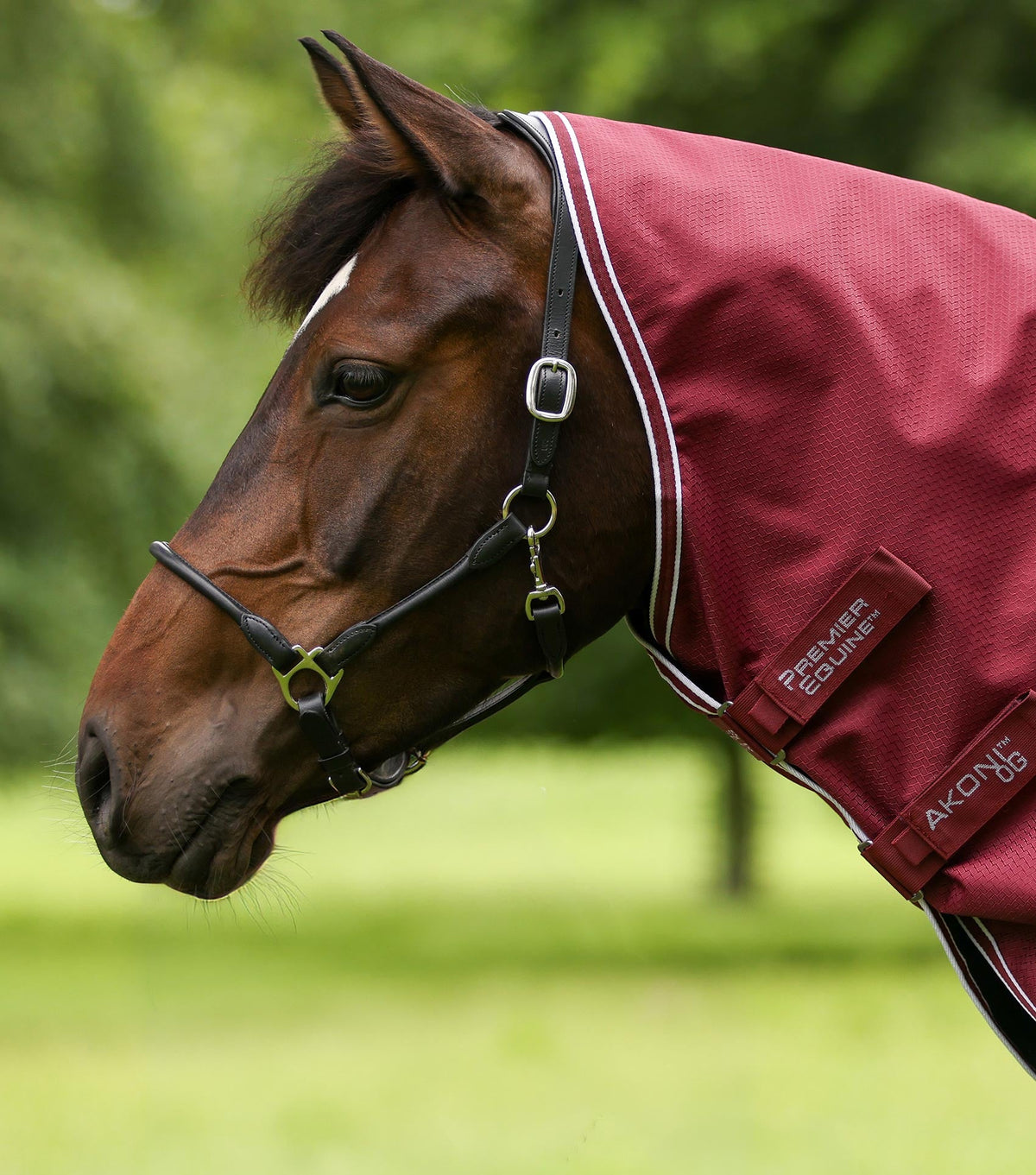 Premier Equine Akoni 0g Turnout Rug with Classic Neck Cover Wine