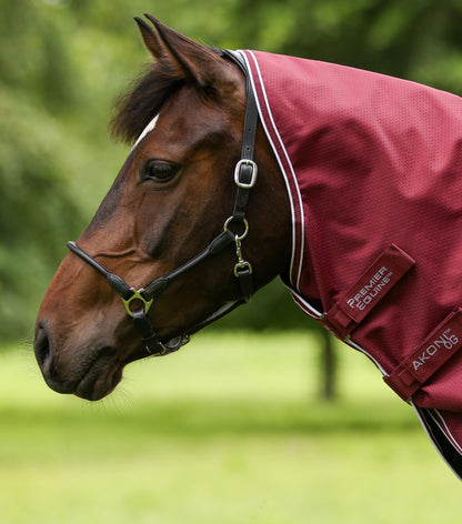 Premier Equine Akoni 0g Turnout Rug with Classic Neck Cover Wine