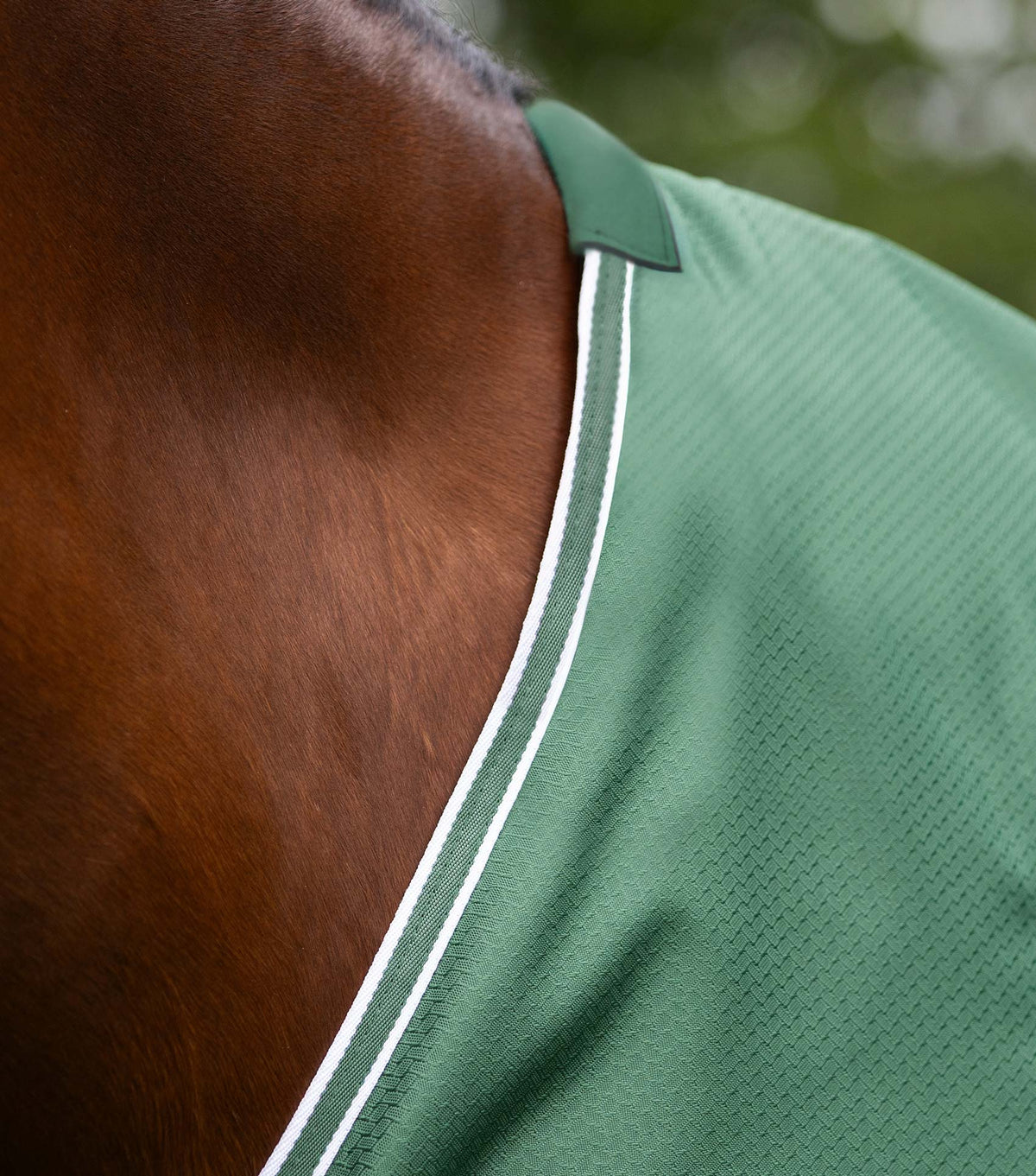 Premier Equine Akoni 0g Original Turnout Rug - Green