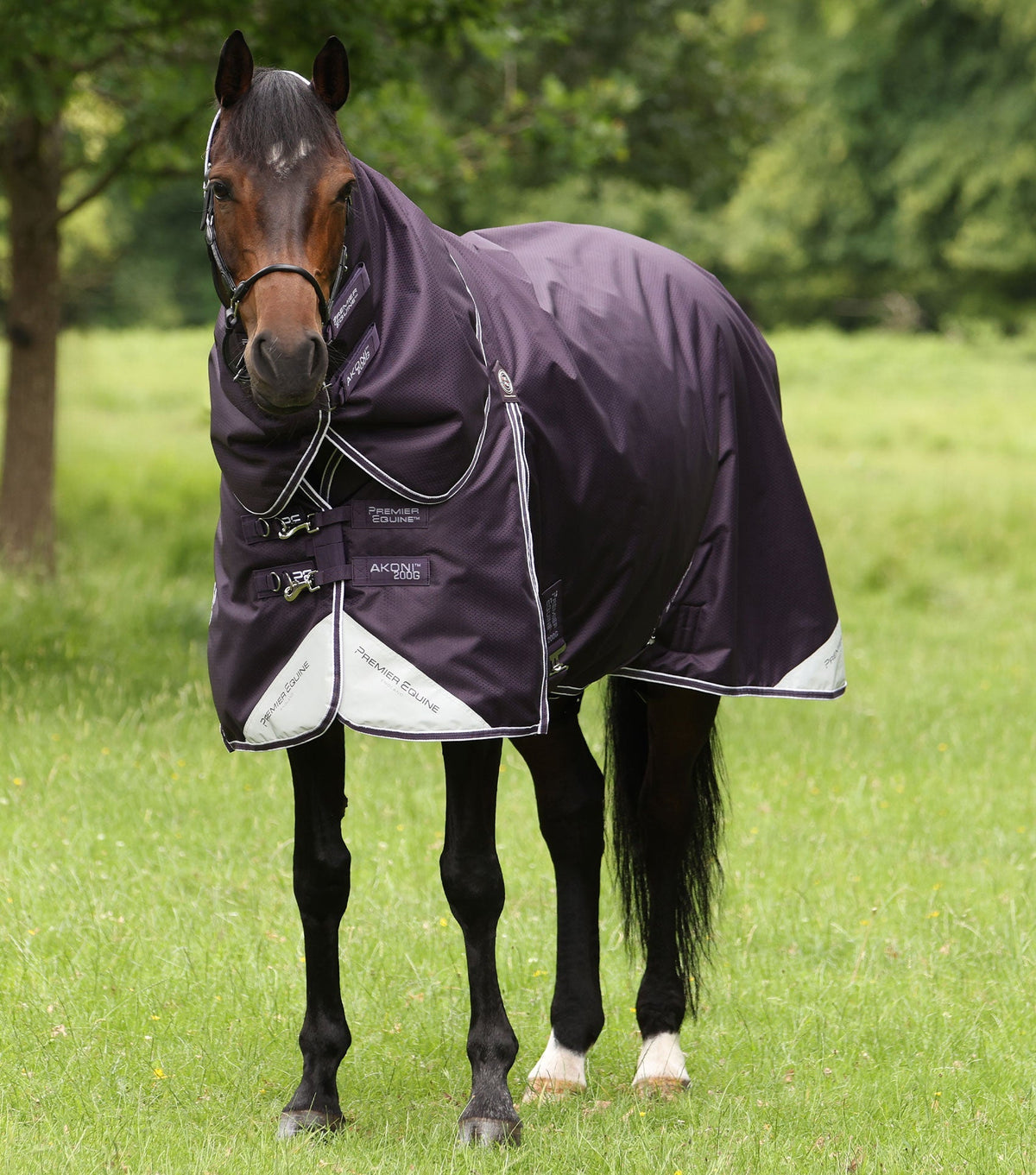 Description:Akoni 200g with detachable neck_Colour:Purple_Position:1