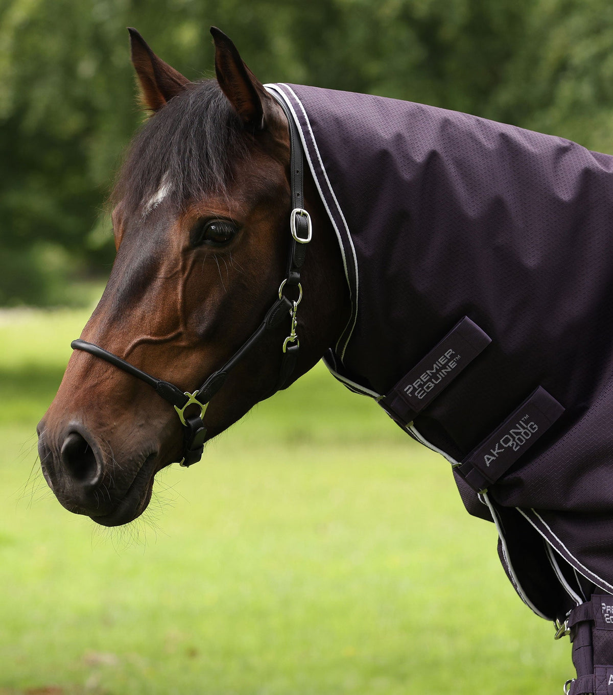 Description:Akoni 200g with detachable neck_Colour:Purple_Position:2