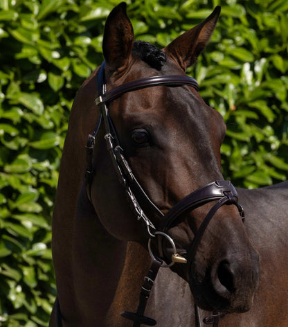 Premier Equine Artana Snaffle Bridle