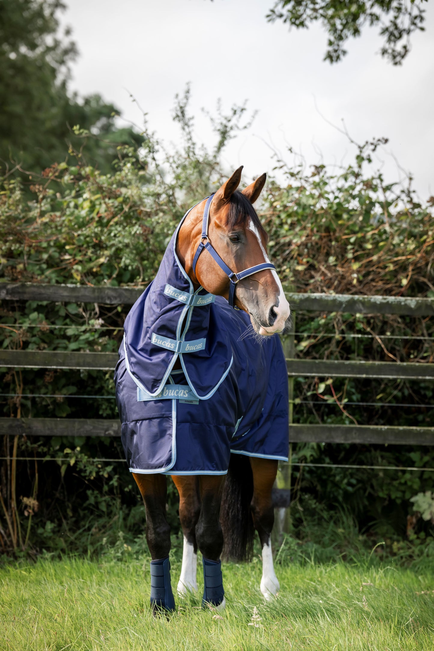 Bucas Atlantic Exclusive Light 0g Turnout Rug with Neck - Navy/Blue