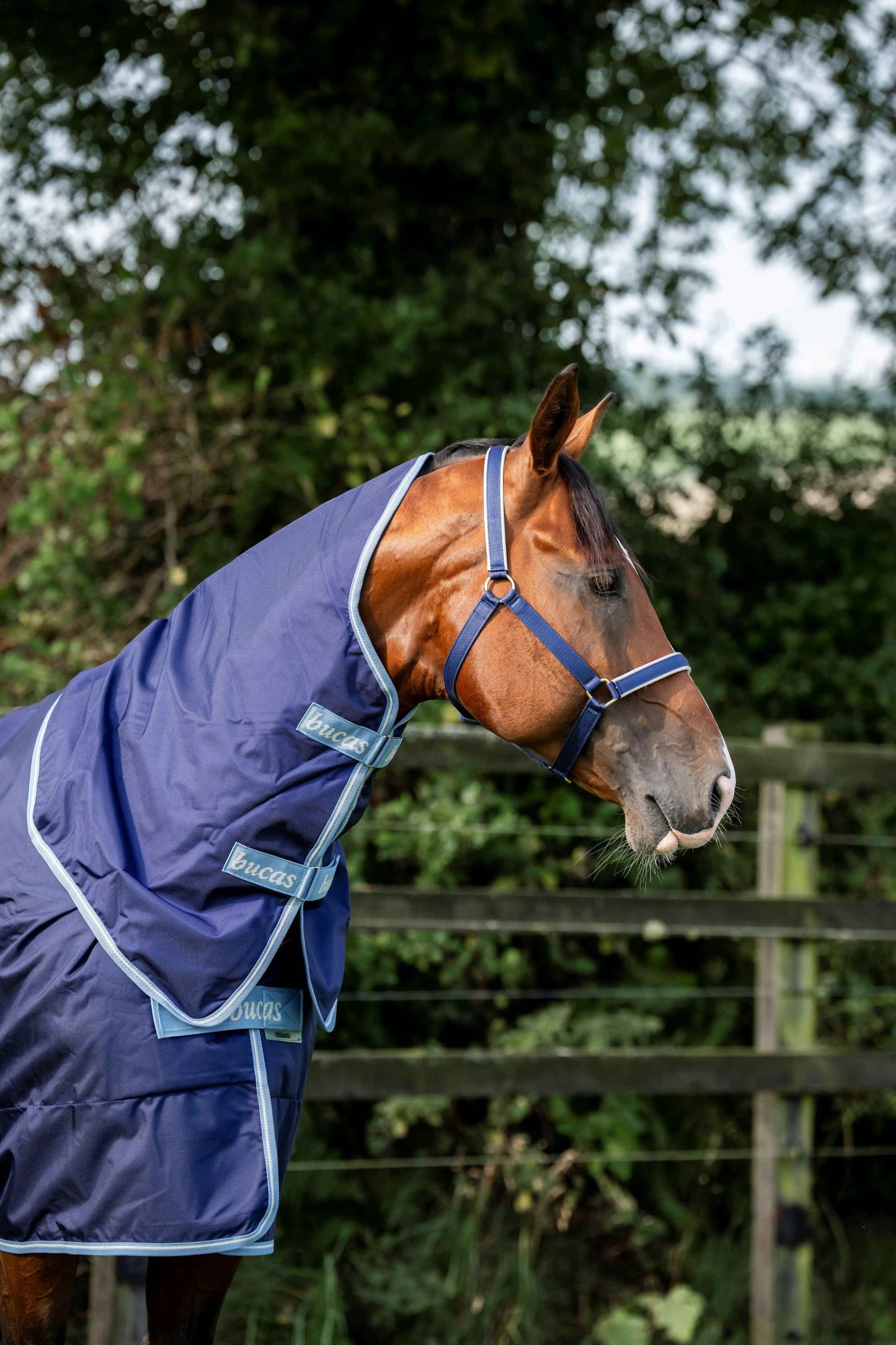 Bucas 150g Atlantic Exclusive Turnout Rug with Neck - Navy/Blue