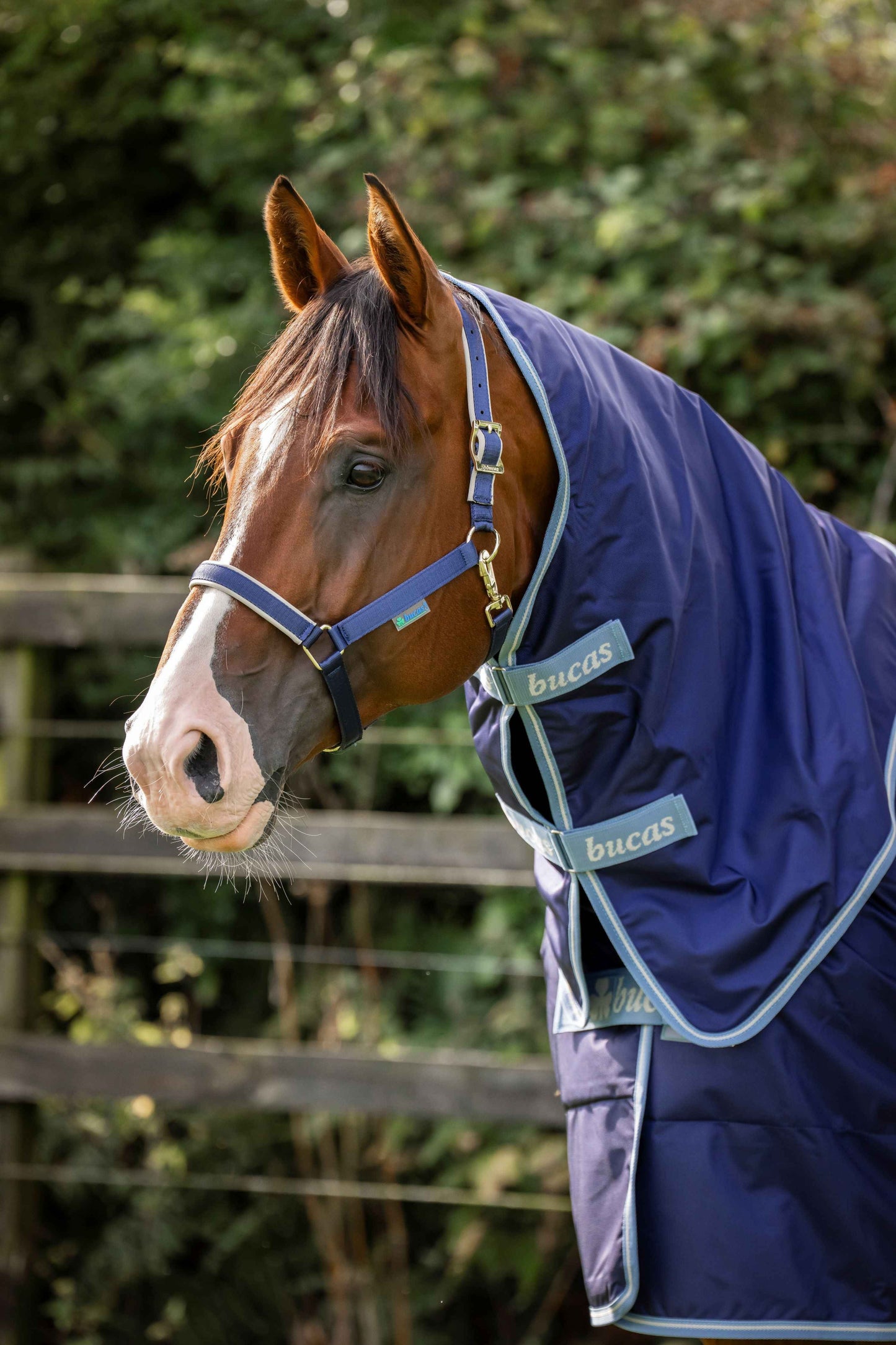 Bucas 150g Atlantic Exclusive Turnout Rug with Neck - Navy/Blue