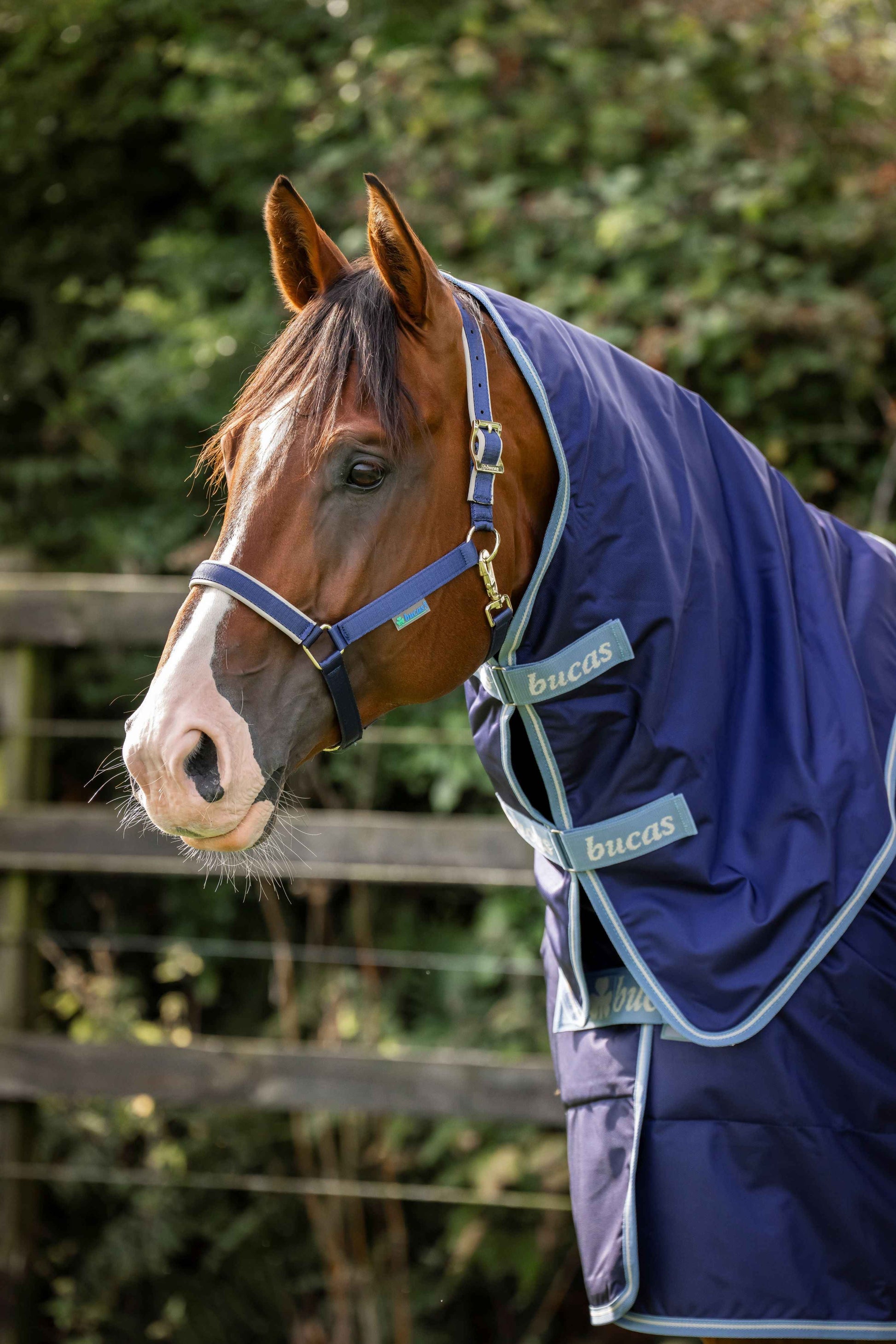 Bucas 150g Atlantic Exclusive Turnout Rug with Neck - Navy/Blue