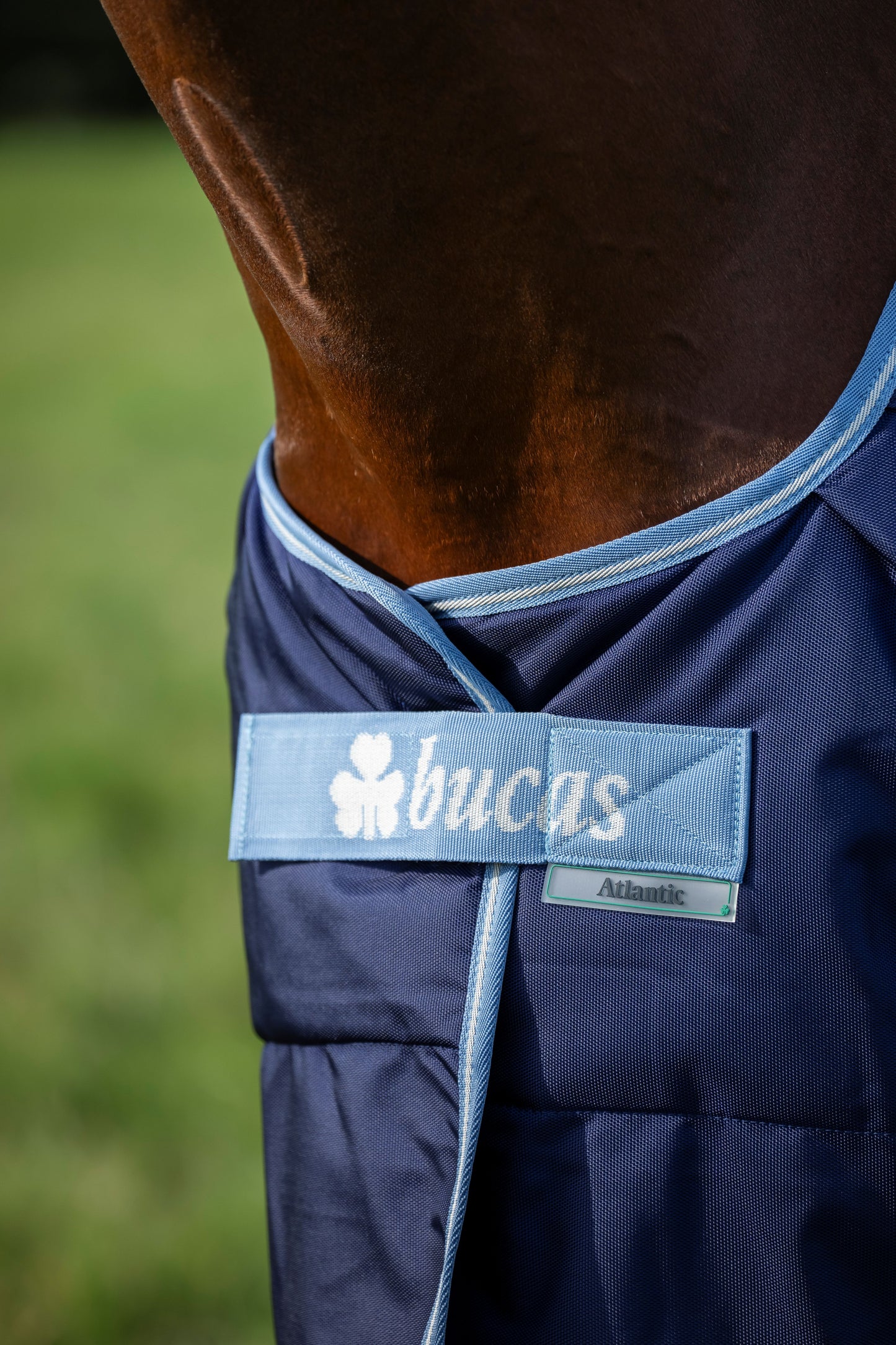 Bucas Atlantic Exclusive Medium 200g Turnout Rug - Navy & Blue