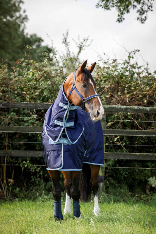 Bucas 0g Atlantic Exclusive Light Turnout Rug with Neck - Navy/Blue