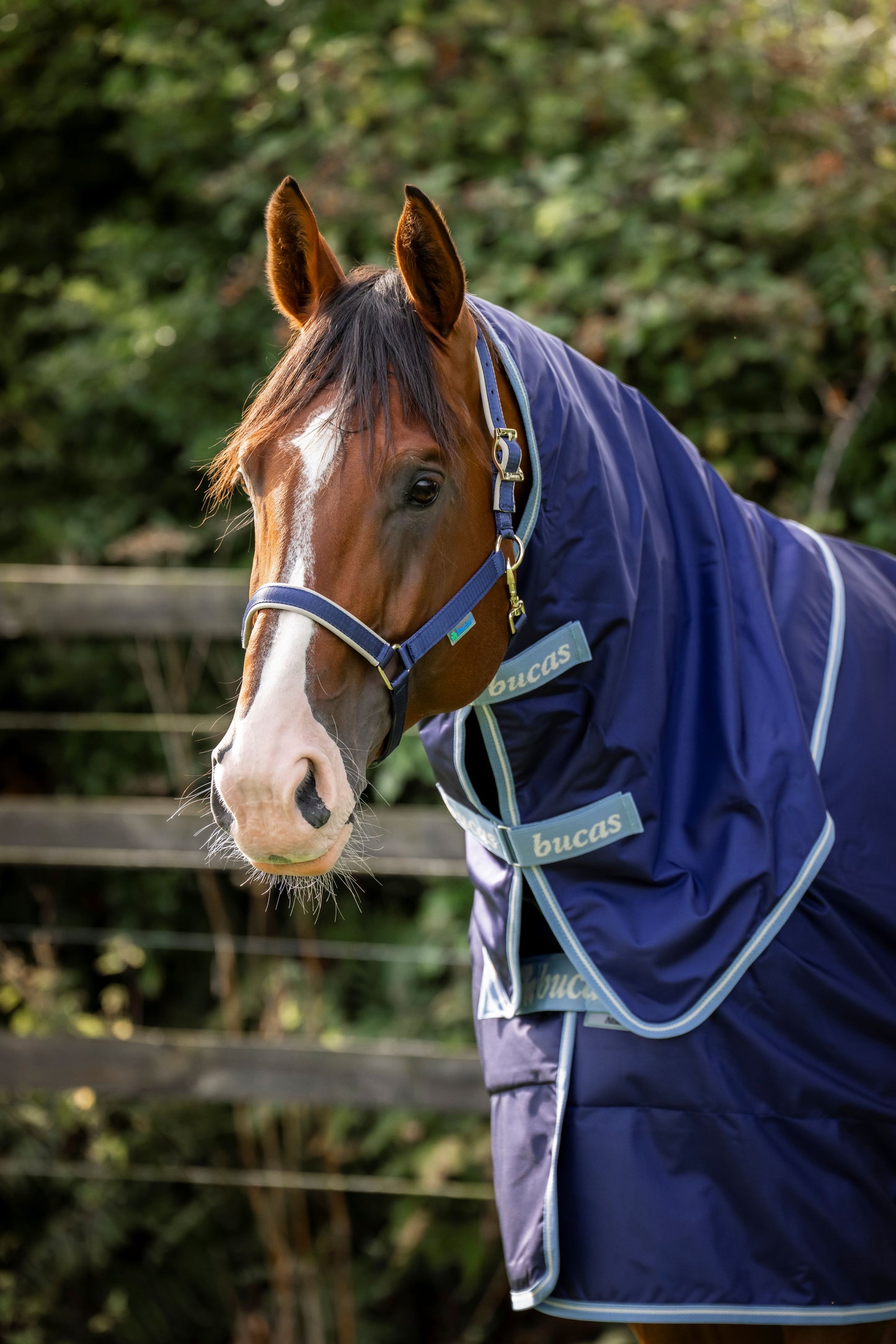 Bucas Atlantic Exclusive Combi 0g Turnout Neck Cover - Navy/Blue