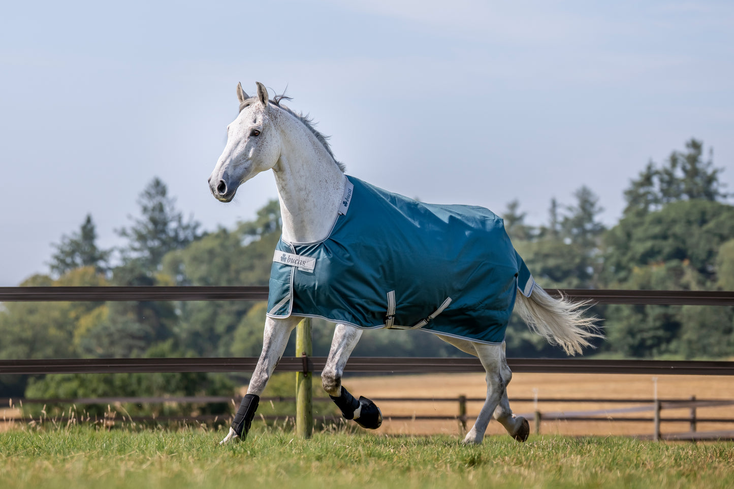 Bucas Atlantic 50g Standard Neck Turnout Rug - Green