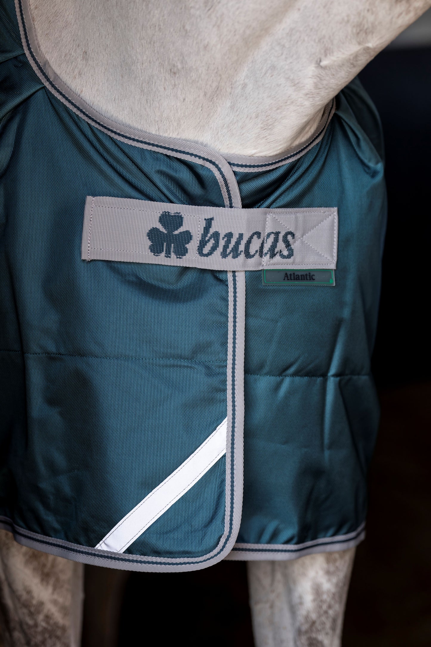 Bucas Atlantic 50g Standard Neck Turnout Rug - Green