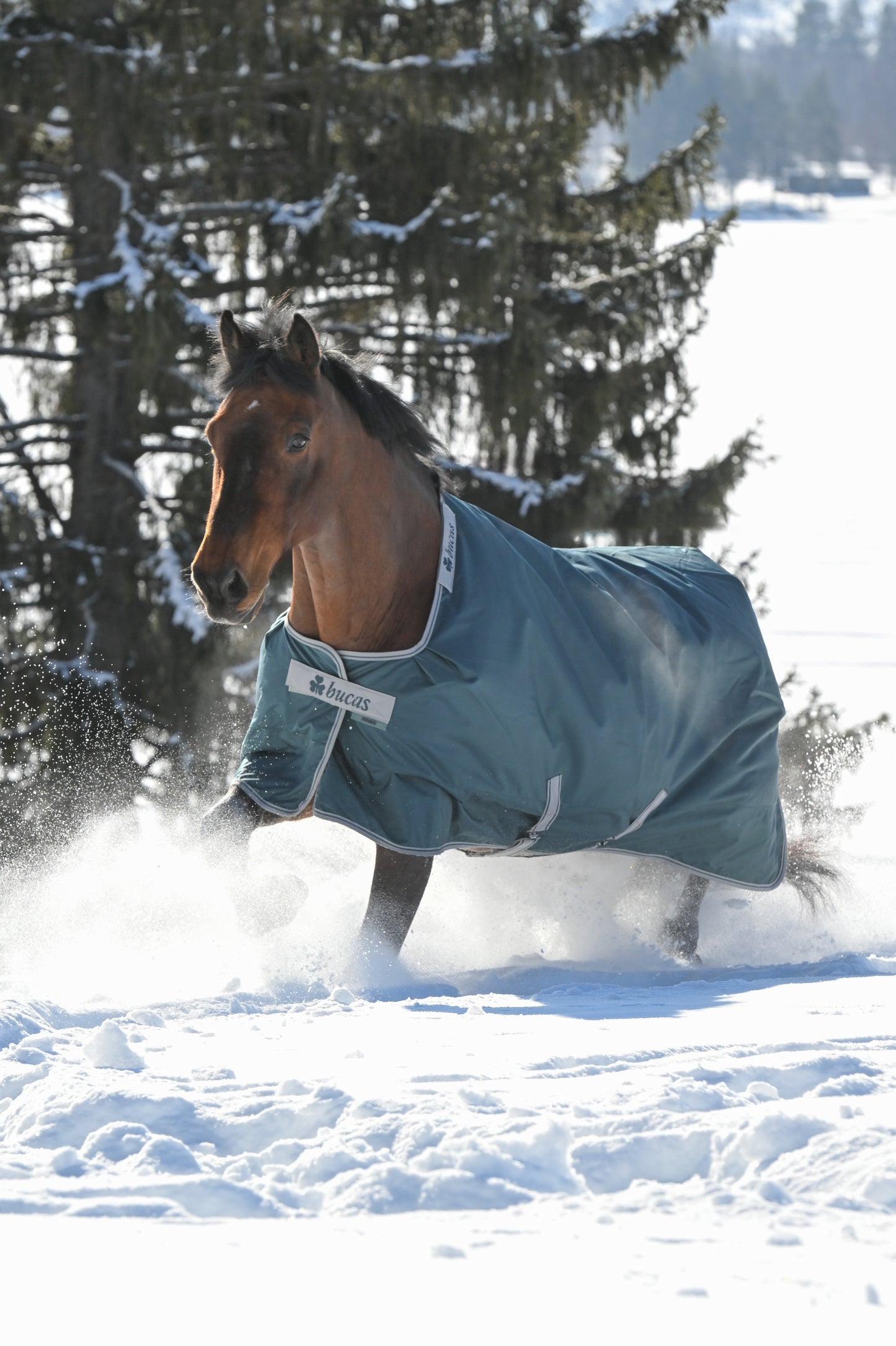 Bucas Atlantic 200g Standard Neck Turnout Rug - Green