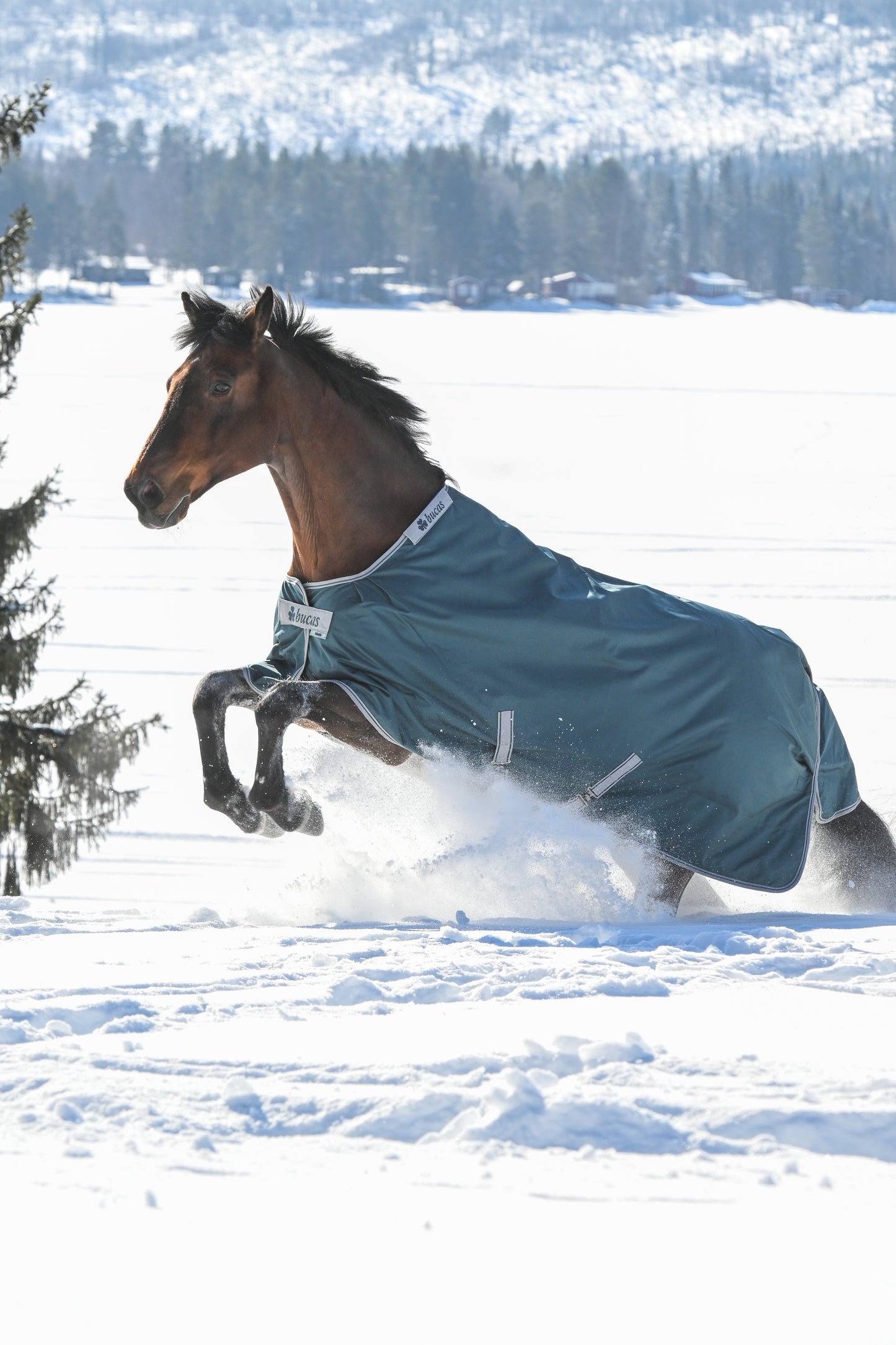 Bucas Atlantic 200g Standard Neck Turnout Rug - Green
