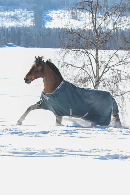 Bucas Atlantic 200g Standard Neck Turnout Rug - Green