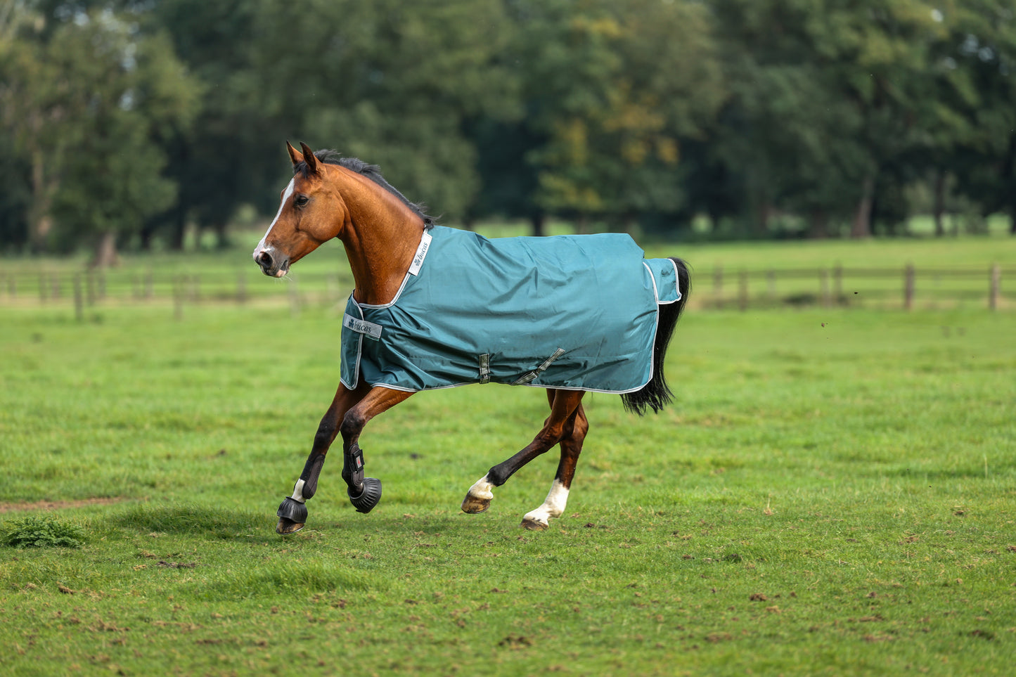Bucas Atlantic 50g Standard Neck Turnout Rug - Green