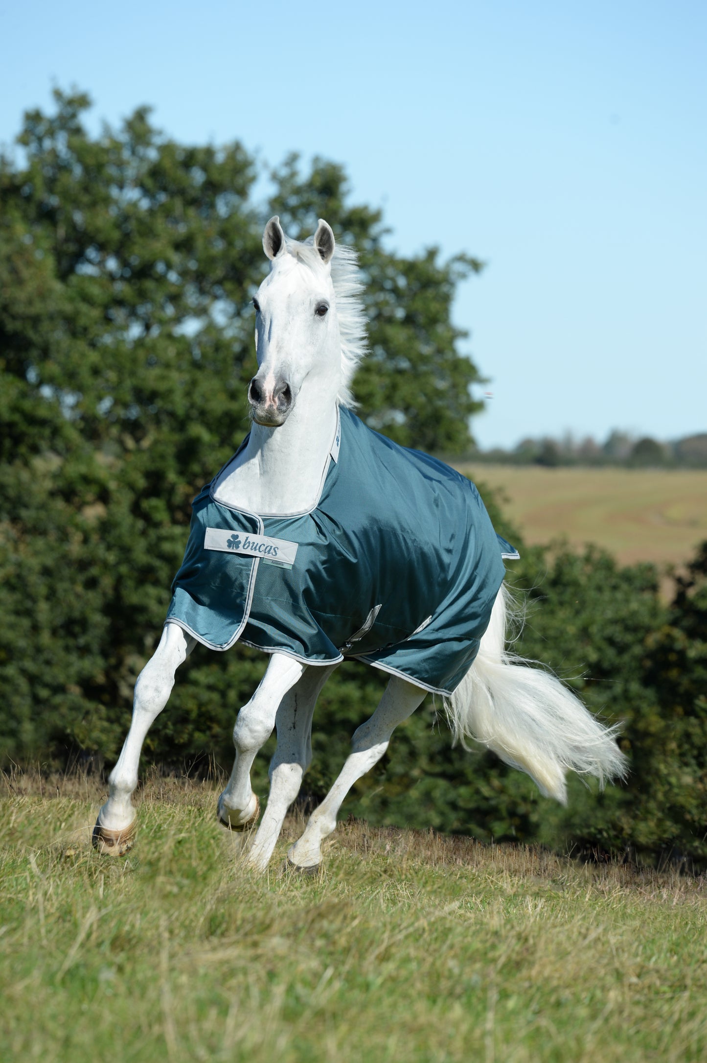 Bucas Atlantic 50g Standard Neck Turnout Rug - Green