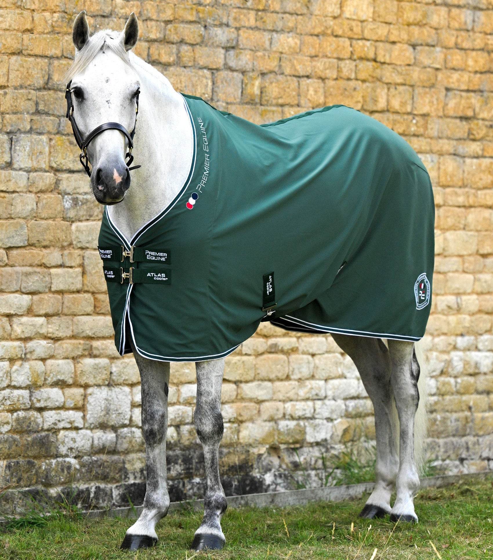 Premier Equine Atlas Horse Cooler Rug Green - N P Equestrian & Pet Supplies Ltd 
